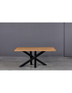 Industrial style table MODERNA