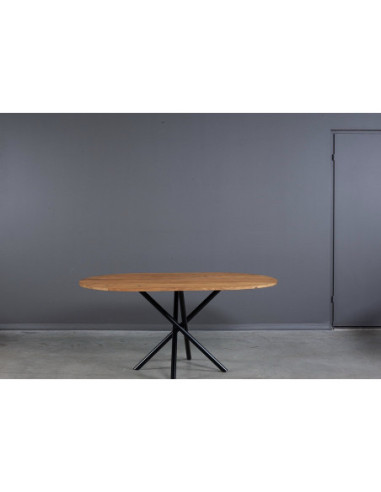 SPYDER OVAL WHITE 160X100 oak table