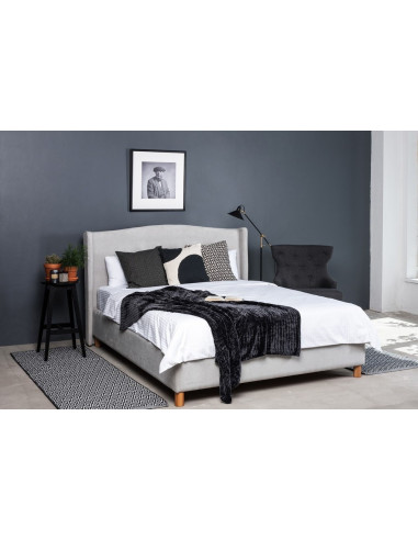 Bed TRENDI PLANE 160, with slatted bed base and bedding box - Sofalovakedestalas.lt